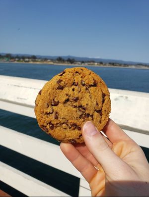 Chocolate chip cookie at Pacific Cookie Company in Santa Cruz