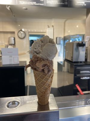 Hazelnut and Praline with caramelized nuts on vegan cone. Both tasty, but the cone was too hard.  at Monte Pelmo in Amsterdam