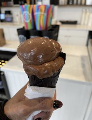 Coconut Chocolate Fudge  at Clementine's Naughty & Nice Creamery in St Louis