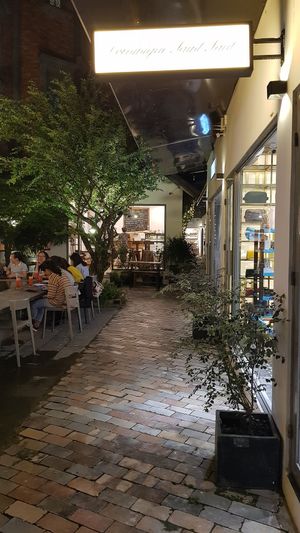 Hidden behind the tree at Kashew Cheese Deli in Ho Chi Minh City