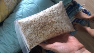 Tempeh block  at Vegan Kon Cook - Reach in Phuket