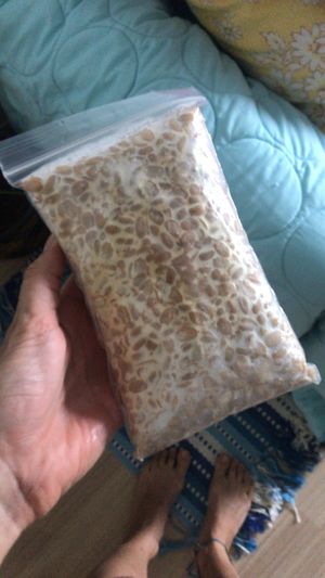 Block of tempeh to purchase at Vegan Kon Cook - Reach in Phuket