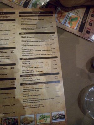 the vegan menu at Thai Salou in Salou