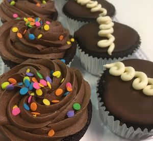 Vegan cupcakes, chocolate and cream-filled chocolates (Hostess style) at Ramona Susan's Bake Shop in Philadelphia