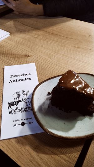 🐷🐮🐰🐬🐠🐝🐓 at Café León in Bogota