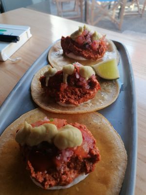 Vegan tacos very yummy at Blu Bar in Barcelona