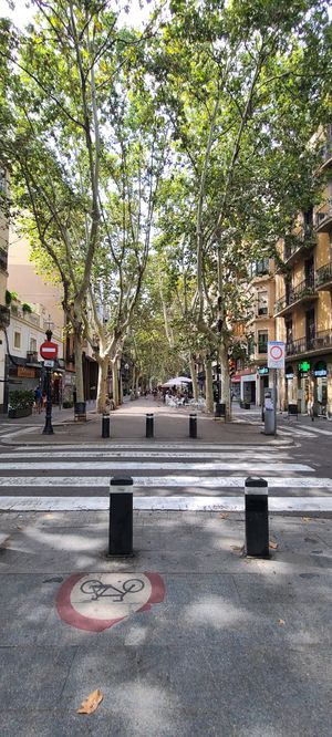 Views from the adjacent pedestrian area at Blu Bar in Barcelona
