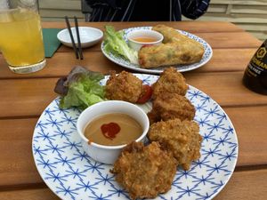 Spring Rolls & Kentucy Fried Seitan at Chay Vegan Kitchen in Nuremberg