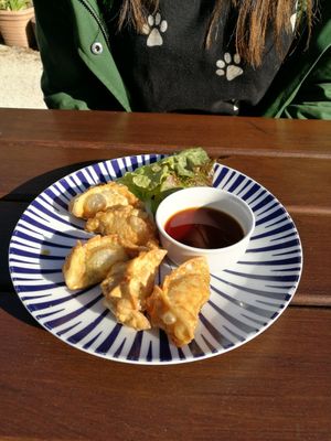 Gyoza at Chay Vegan Kitchen in Nuremberg