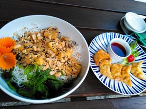 - Rice noodle with tofu and peanut sauce
- Gyoza at Chay Vegan Kitchen in Nuremberg