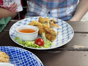 Spring rolls  at Chay Vegan Kitchen in Nuremberg