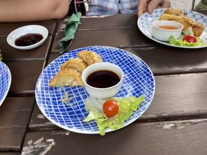 Gyoza  at Chay Vegan Kitchen in Nuremberg
