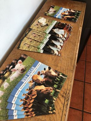 💚✌️ at Sugar Apple Organic Cafe in Key West