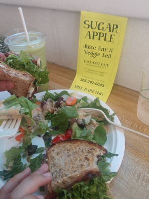 Tasty salad, amazing sandwich and super smoothie with texture! at Sugar Apple Organic Cafe in Key West