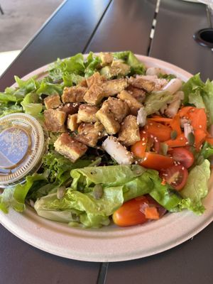   at Sugar Apple Organic Cafe in Key West