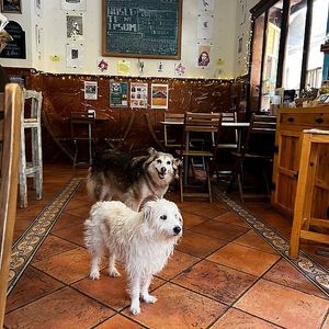  at La Goma in Granada