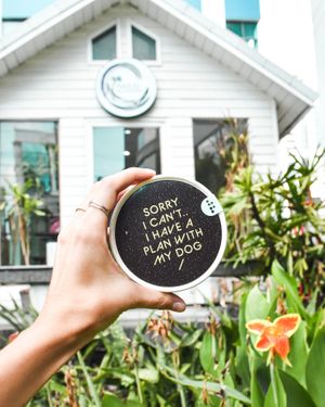 Pet friendly _ we serve ice cream for dogs at MAKAI - Thonglor in Bangkok