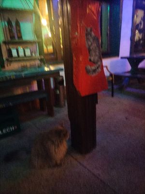  at Bieszczadzka Legenda in Ustrzyki Gorne