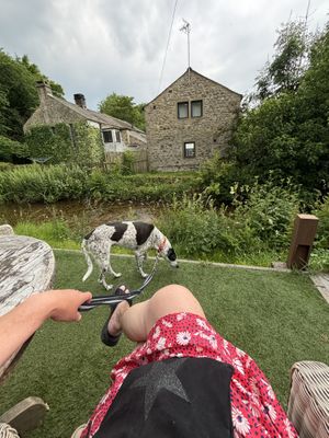 Dog friendly   at Beck Hall in Malham