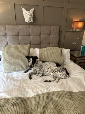 Comfy bed   at Beck Hall in Malham