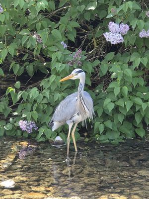  at Beck Hall in Malham