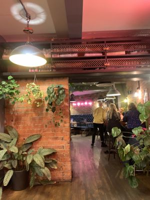 Atmosphere   at Plant Bar  in Derby