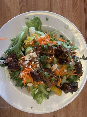 Spicey peanut salad with seitan strips   at Fire On The Mountain - Wash Park in Denver
