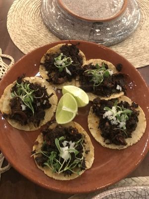 Tacos de Birria de Jamaica  #Veganuary at Na Tlali in Mexico City