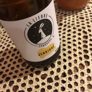 La mejor / best kombucha   at Na Tlali in Mexico City