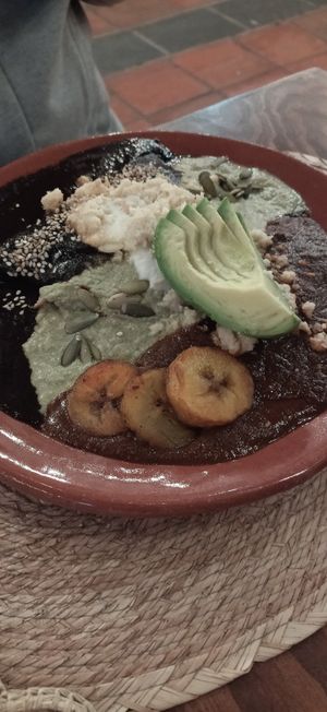  at Na Tlali in Mexico City