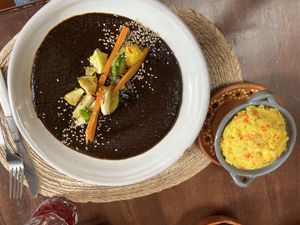 Mole Negro   at Na Tlali in Mexico City