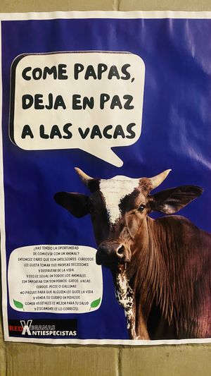   at Na Tlali in Mexico City