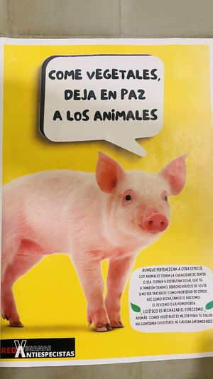   at Na Tlali in Mexico City