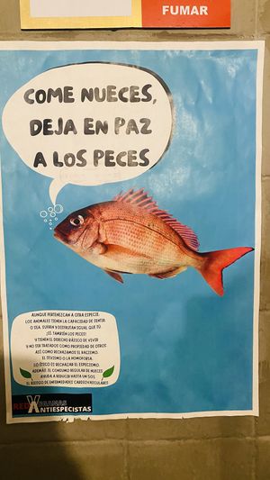   at Na Tlali in Mexico City