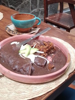 Enfrijoladas rellenas de tofu a la mexicana at Na Tlali in Mexico City