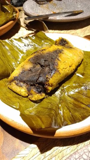 Tamal de Mole Negro at Na Tlali in Mexico City