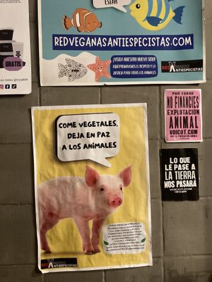   at Na Tlali in Mexico City