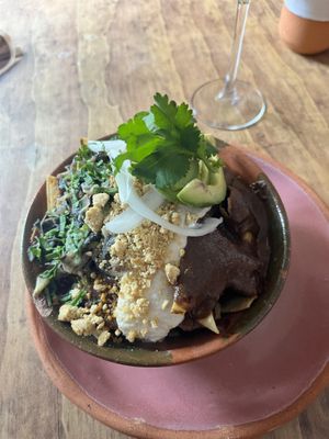 Coastal mole   at Na Tlali in Mexico City