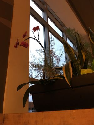 Flowers decorating the eating area  at Whole Foods Market - Cambie in Vancouver