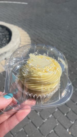 Lemon curd cupcake at Sunflower Bakehouse in Nashville