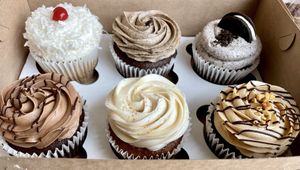 6 GF Vegan cupcakes  at Sunflower Bakehouse in Nashville