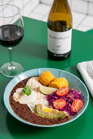 Enchilada acompañada de vino ecológico "Las aves de paso". Enchilada with organic wine "Las aves de paso" at Romero Verde in Madrid