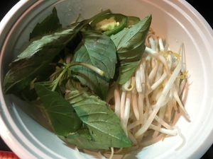 Vegan pho  at The Rolling Spring Roll in Farmingdale
