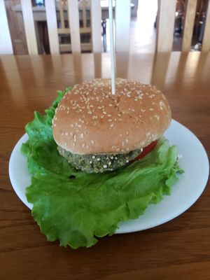  at Arena Palas in Palas De Rei