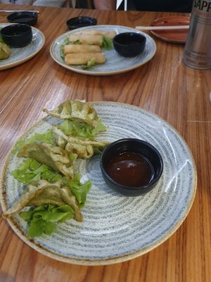 Gyoza fritti and spring rolls at Misaki in Sorrento