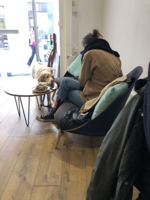   at Virgule in Toulouse