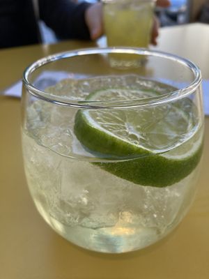 Aloe G&T at Wildseed in San Francisco