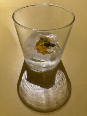 Fancy cocktail lol at Wildseed in San Francisco