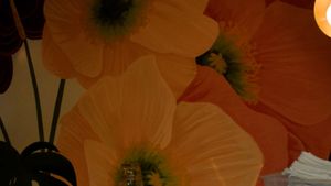 interior at Wildseed in San Francisco