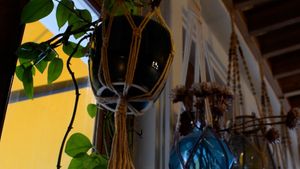 interior at Wildseed in San Francisco